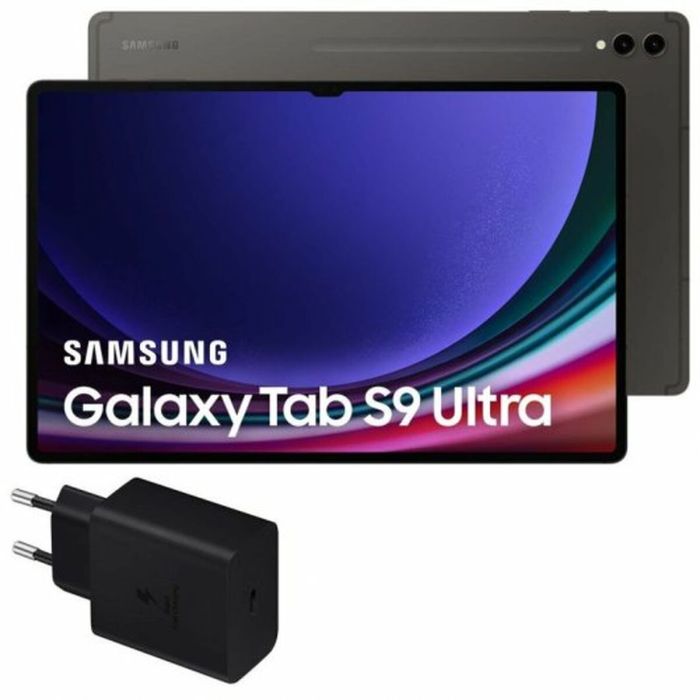 Läsplatta Samsung Galaxy Tab S9 Ultra 12 GB RAM 256 GB 14,6″ Grå